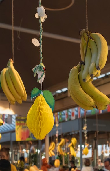 Bananas